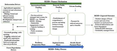 Towards REDD+ implementation: Deforestation and forest degradation drivers, REDD+ financing, and readiness activities in participant countries